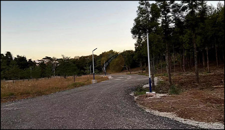 solar street light